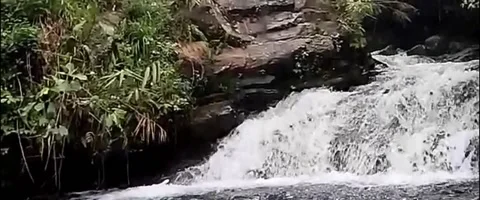 Mountain water Stock Footage 239342700