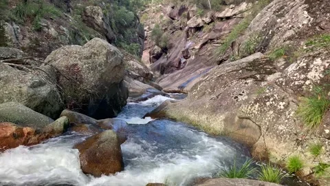 Mountain water rapids flowing down through a rock gorge in spring Stock Footage 275230329