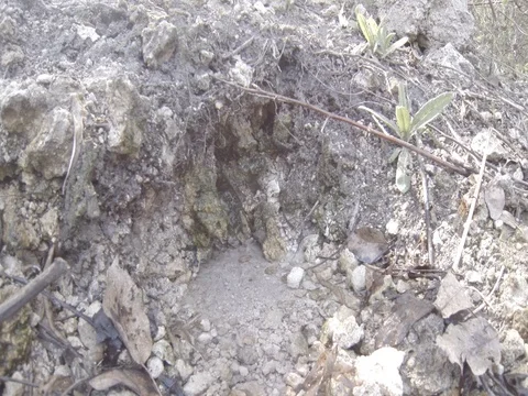 Mountain water source Stock Footage 75070965