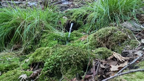 Mountain water spout Stock Footage 198081267