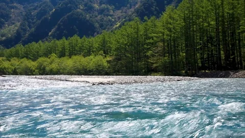 Mountain water stream and green leaves in Azusariver, Kamikochi, Nagano, Japan, Stock Footage 100790953