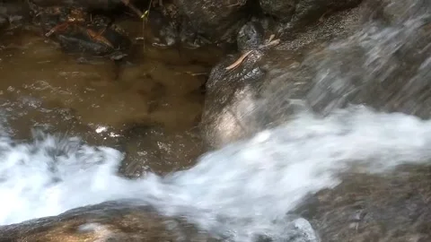 Mountain Water Stream Vídeo Stock 334761099