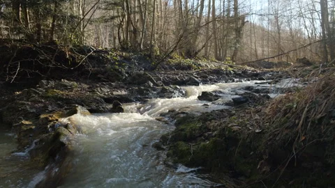 Mountain water stream or river runs down hill at early spring Stock Footage 303958578