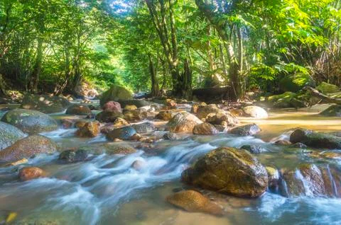 Mountain water stream Foto stock