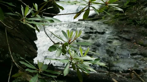 Mountain Waterfall 34 Stock Footage 38908864