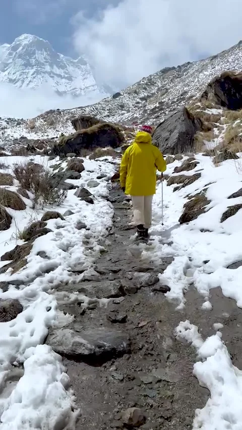 Mountain Waterfall, Alpine River, Snowy Peaks, Rocky Landscape, Pristine Na.. Stock-Footage 337448810
