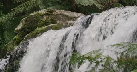 Mountain Waterfall Among Dense Green Vegetation Stock-Footage 330637919