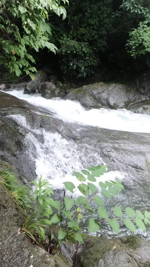 Mountain Waterfall and Clear River Stream in June, Niihama, Ehime, Japan Stock Footage 337773653