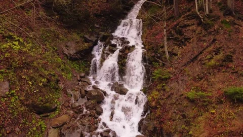 Mountain waterfall in the autumn forest. Stock Footage 254964411