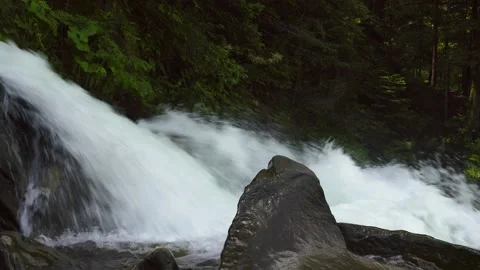 Mountain waterfall on a background of summer trees Video stock 143861529