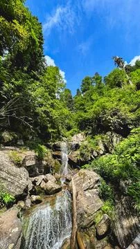 Mountain waterfall cascading through a lush green forest under a blue sky Stock Photos