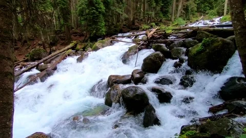 Mountain waterfall in Dombai forest river. Stock Footage 131192860