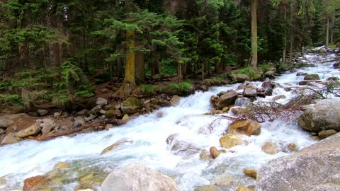 Mountain waterfall in Dombai forest river Stock Footage 131194773