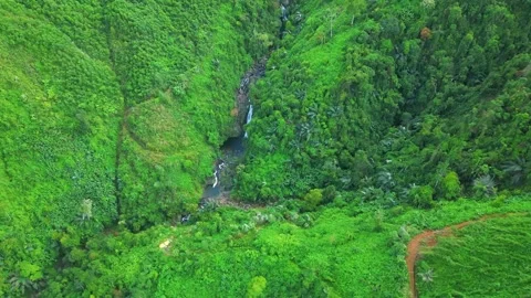 Mountain Waterfall Dropping Through Jungle Stock Footage 322823747