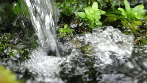 Mountain waterfall falling into a fast river moving among mossy stones in a dark Stock-Footage 156935121