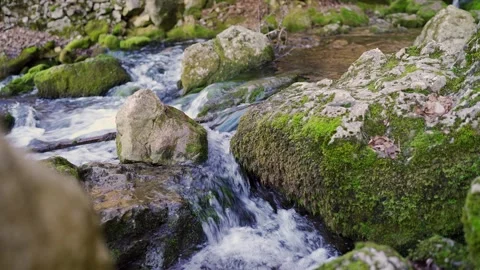 Mountain Waterfall Flowing Over Mossy Rocks • Clear Stream Serbia Stock Footage 323104937