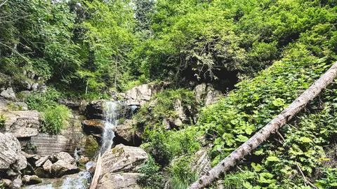 Mountain waterfall flowing through a lush green forest Stock Photos
