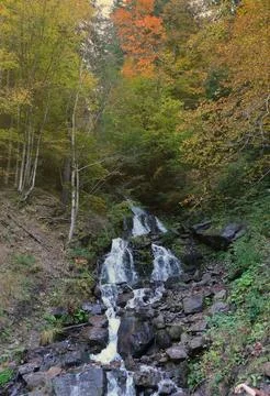 A mountain waterfall flows over the rocks. Waterfall cascade on mossy rocks Stock Photos