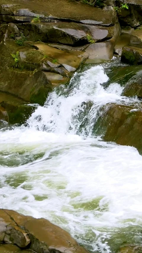 Mountain Waterfall with Foaming River During Rain Video stock 346742079
