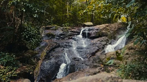 A mountain waterfall Stock Footage 84136839