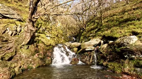 Mountain Waterfall 動画素材 171082831