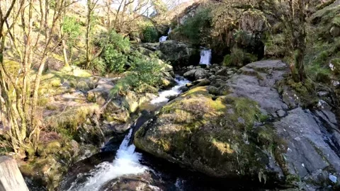Mountain Waterfall 動画素材 172484533