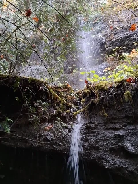 Mountain waterfall Video stock 292812004