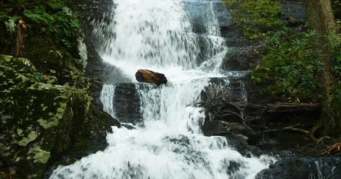 Mountain Waterfall in the Forest Stock Footage 95765267