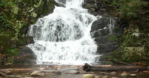 Mountain Waterfall in the Forest Stock Footage 95765276
