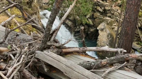 Mountain waterfall in the forest Stock Footage 165778130