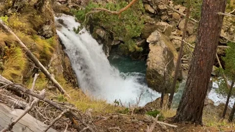 Mountain waterfall in the forest Stock Footage 165778224