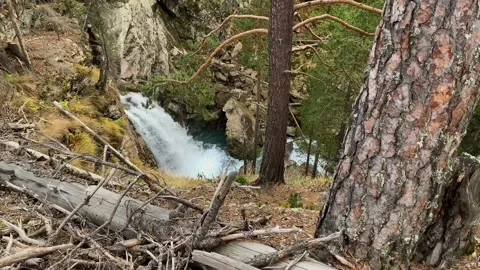 Mountain waterfall in the forest Stock Footage 165779371