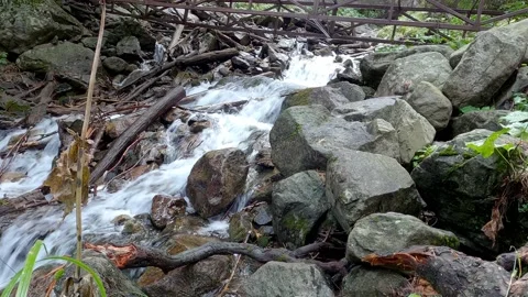 Mountain waterfall in the forest Video stock 169700707