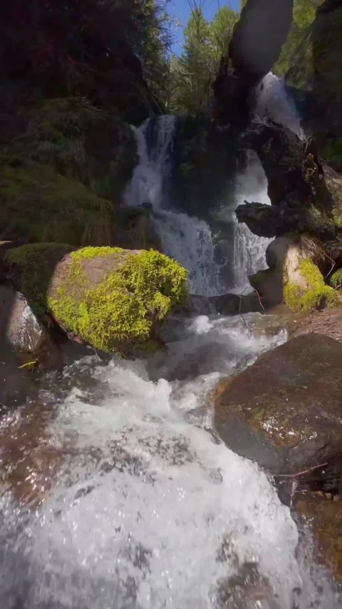 Mountain waterfall in the forest Stock Footage 273981903