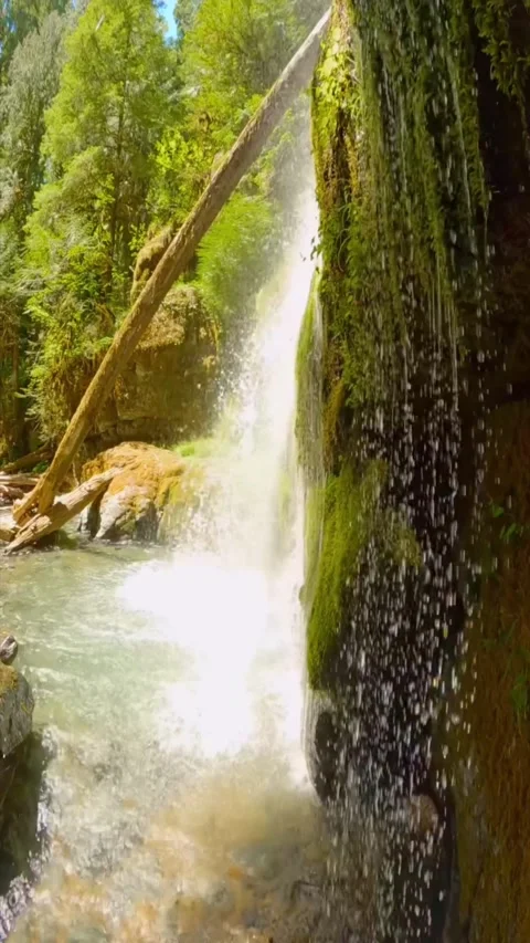 Mountain waterfall in the forest Stock Footage 273981986