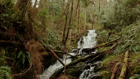 Mountain Waterfall FS Stock Footage 238870864