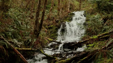 Mountain Waterfall MCU Stock Footage 238869117