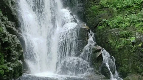 Mountain waterfall. mountain river turns into a waterfall. there are many trees  Stock Footage 208944634