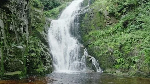 Mountain waterfall. mountain river turns into a waterfall. there are many trees  Stock Footage 208945878