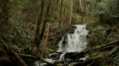 Mountain Waterfall MS Stock Footage 238867018