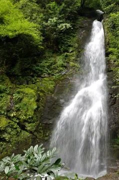 Mountain waterfall Stock Photos