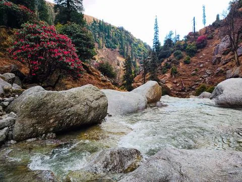 Mountain waterfall Stock Photos