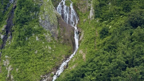 Mountain Waterfall Polikar. The Flow of Water Falls from a Cliff Overgrown with Stock Footage 112083429