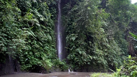 Mountain waterfall in rainforest Video stock 89487483