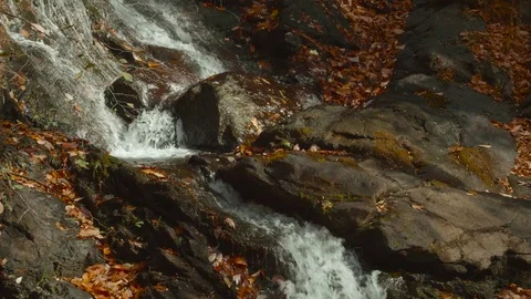 Mountain Waterfall Running Though Fallen Leaves 4K Stock Footage 70792820