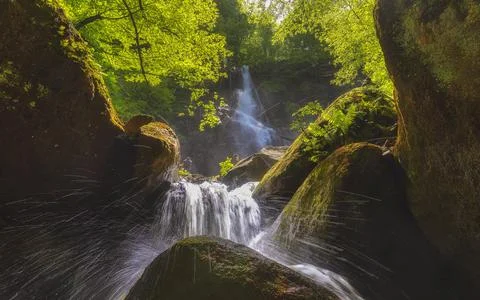 Mountain waterfall in spring forest Stock Photos