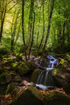 Mountain waterfall in spring forest Stock Photos