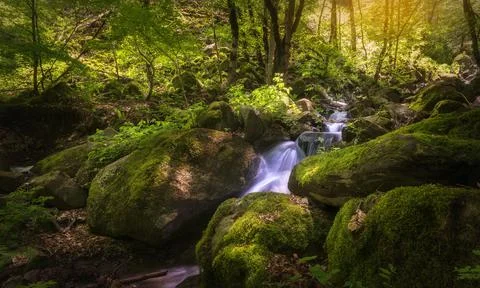 Mountain waterfall in spring forest Stock Photos