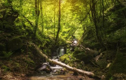 Mountain waterfall in spring forest Stock Photos