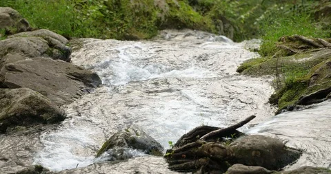 Mountain Waterfall Stream in a Forest Stock Footage 95765250
